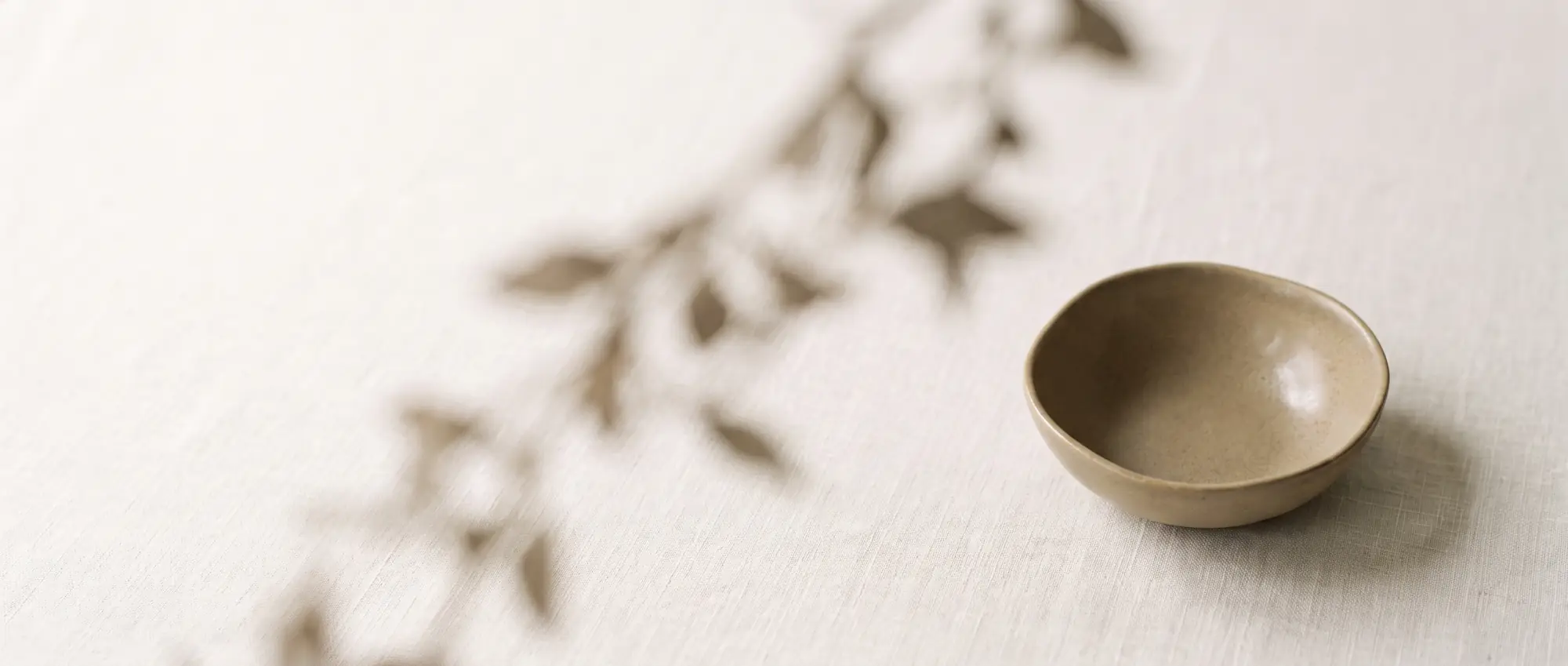 Detalle sereno de difusor y varillas con luz suave
